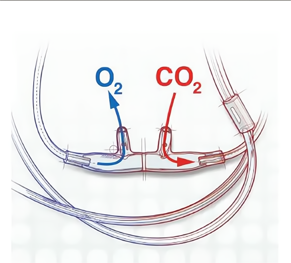 Disposable Nasal Oxygen Cannula Low Profile Cuff Reinforced ...