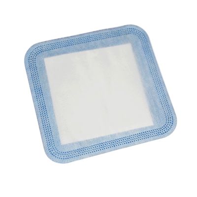 High Absorption Dressing