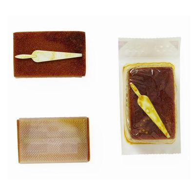 Surgical Scrub brushes